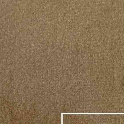 Soft (Plush) Velvet - Beige